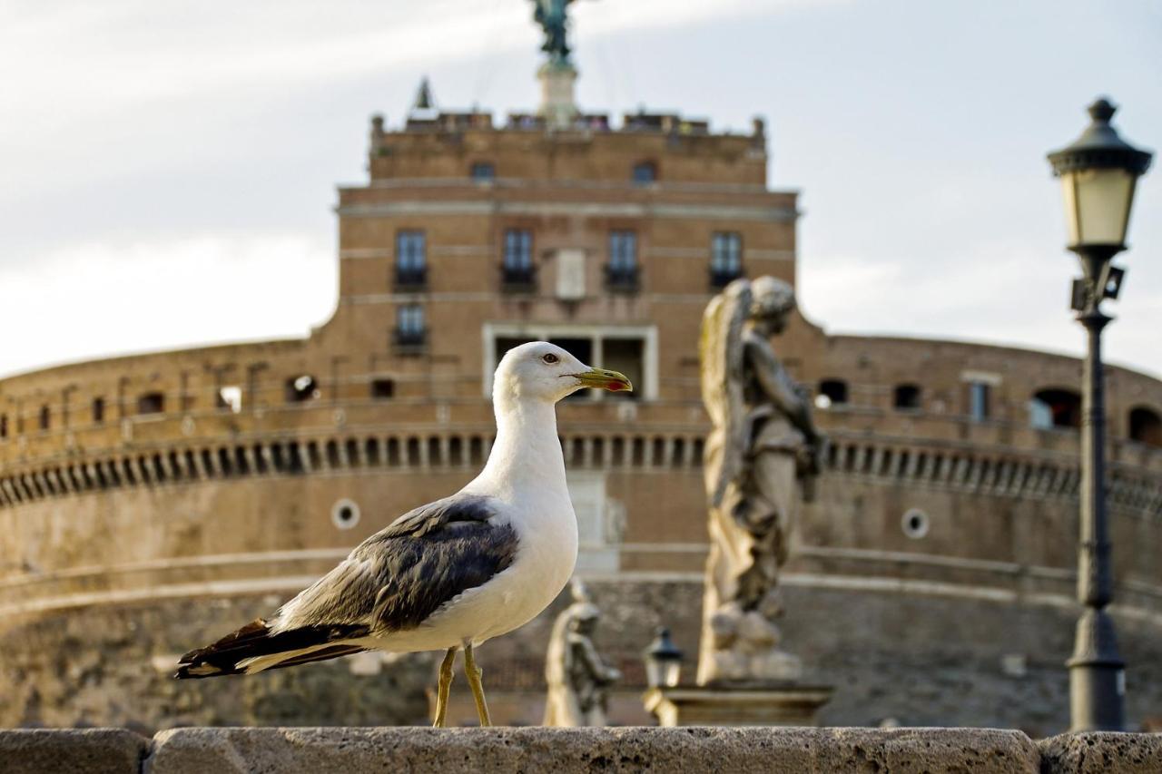 Affittacamere Vatican